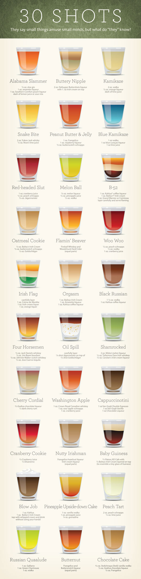 30 Different Cocktail Shot Recipes Infographic
